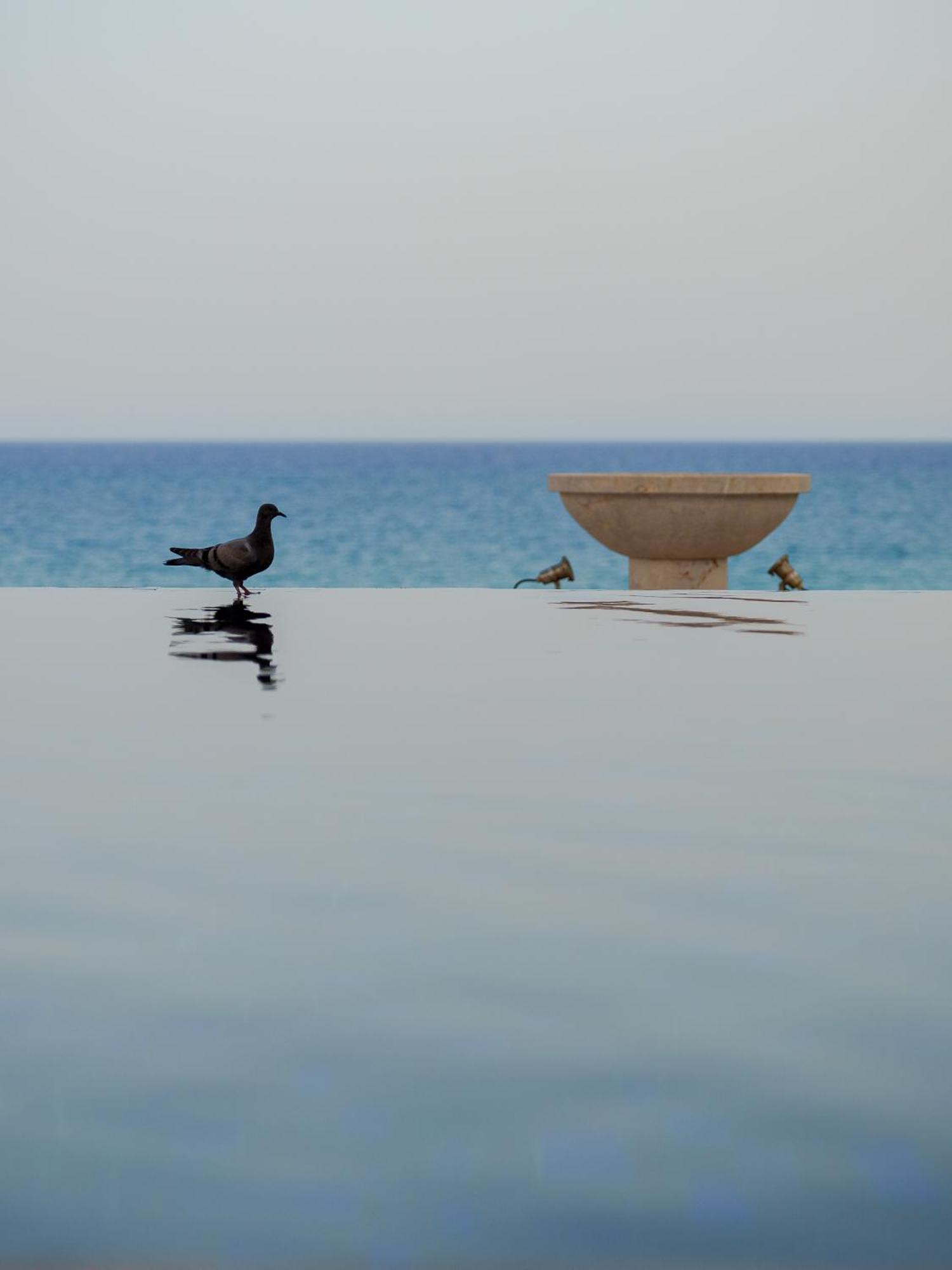 Hotel La Badira - Adult Only Hammamet Exterior foto The fountain